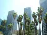 24july07-126