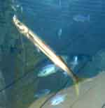 28jun07-057