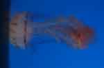 28jun07-094