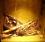 28jun07-097