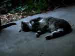 13jul07-039
