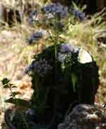 13jul07-055