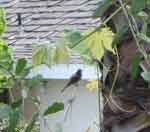 28jun07-028