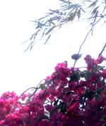 28jun07-032