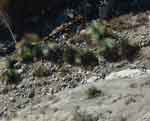 06oct07-055