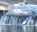 09oct07-036