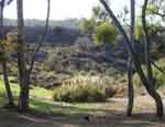 17oct07-037