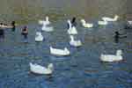 17oct07-042