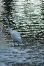 17oct07-057