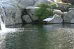 17oct07-061