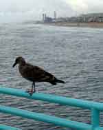 17oct07-028
