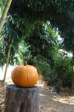 03oct07-006