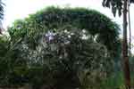 03oct07-007