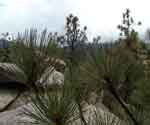 22sep07-056