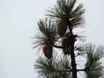 22sep07-058