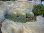 25sep07-006