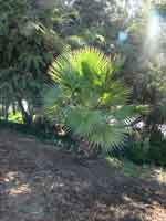 25sep07-040