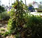 08sep07-010
