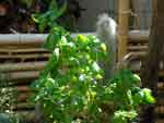 13sep07-019