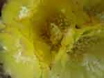 22sep07-013