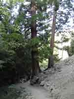 Icehouse Canyon v1
