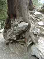 Icehouse Canyon v4