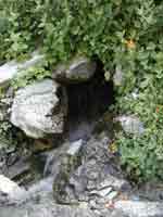 Icehouse Canyon spring2