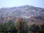 GriffithParkFire