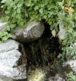 Icehouse Canyon spring