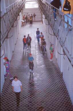 Museum of Arrested Thought