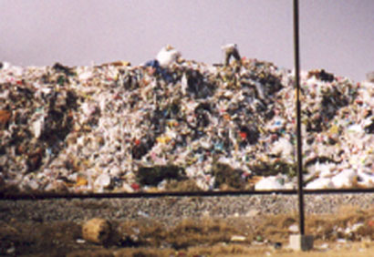 Garbage worker picks over pile