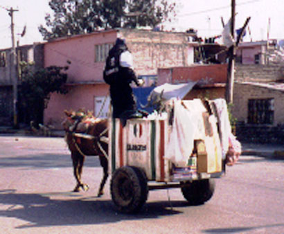 PRI garbage collector
